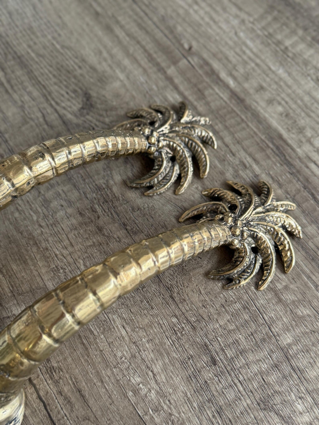 Vintage-inspired brass palm tree door handle for a timeless home accent
