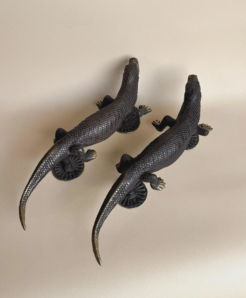 Vintage Brass Gecko Door Handle Set "Sahara"