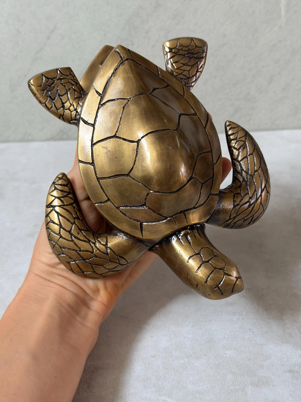 Brass Turtle Door Knocker