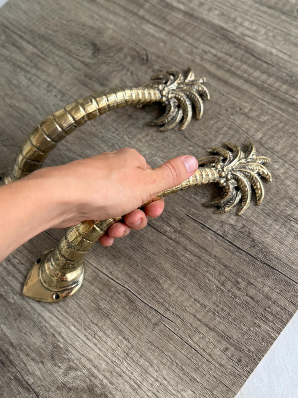 Brass palm tree door handle adding warmth and character to any room