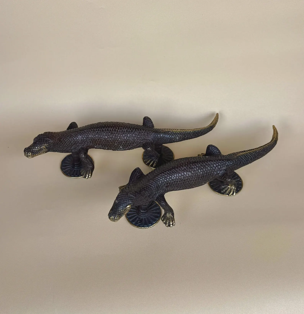Vintage Brass Gecko Door Handle Set "Sahara"
