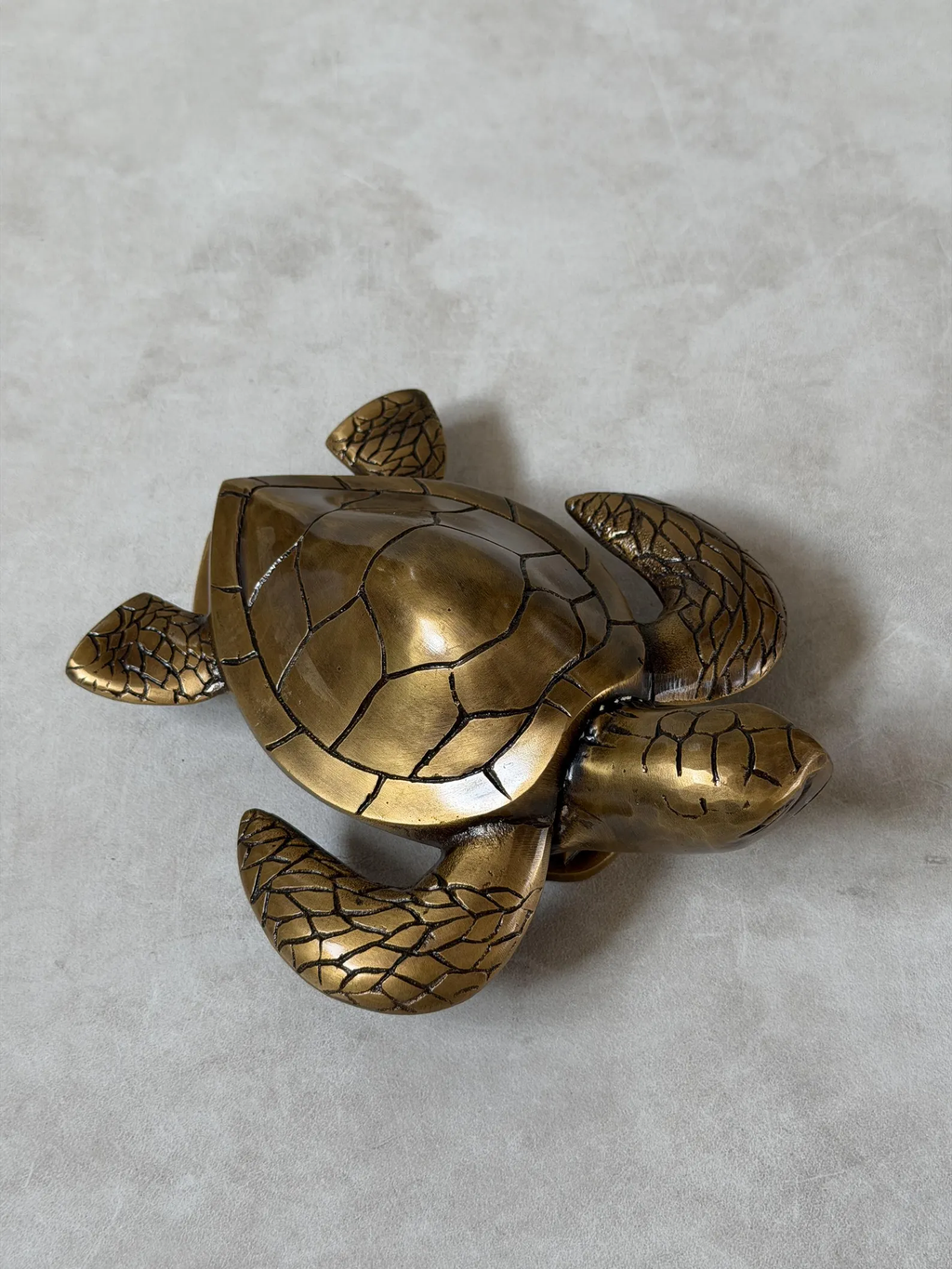 Brass Turtle Door Knocker