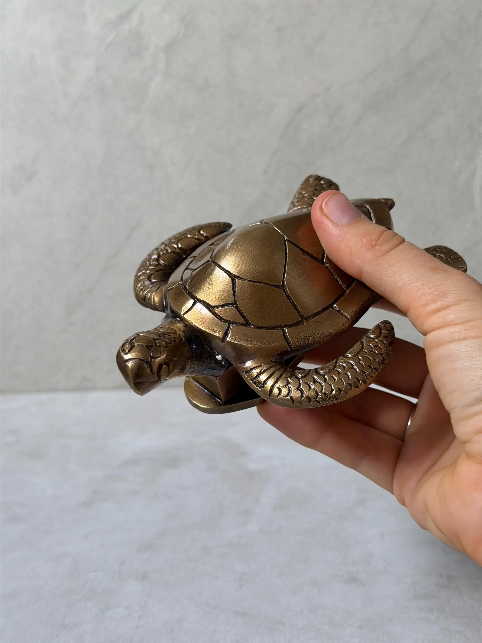Brass Turtle Door Knocker