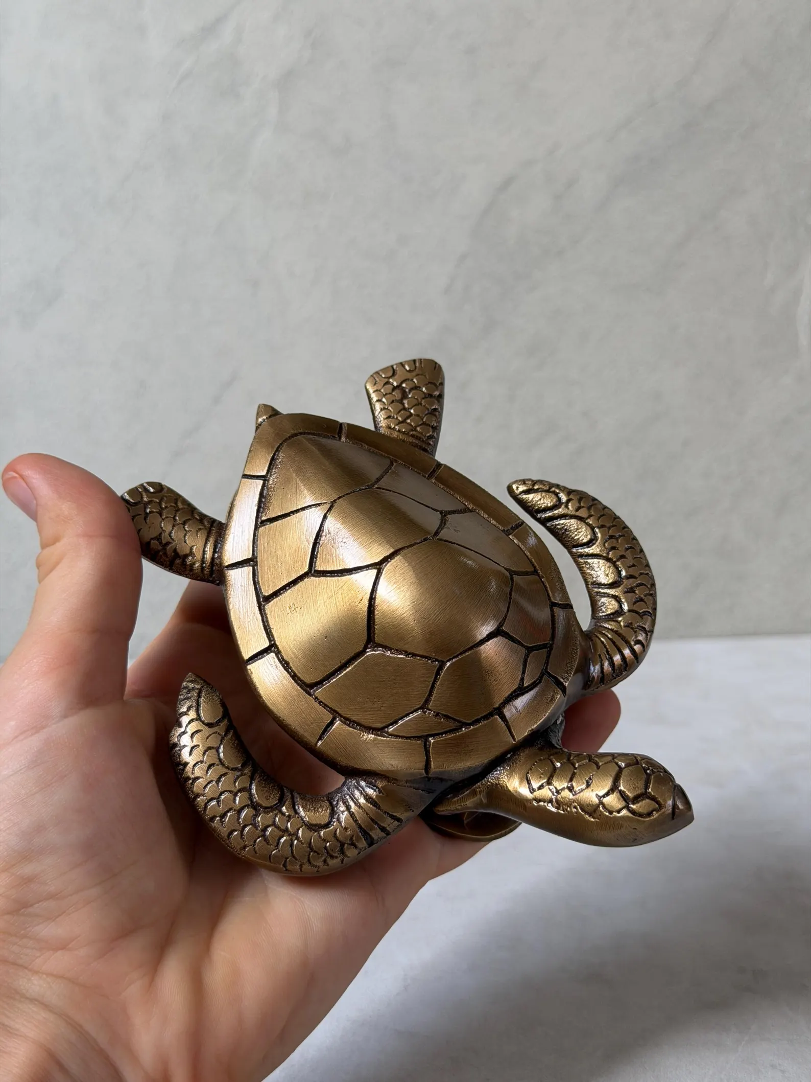 Brass Turtle Door Knocker