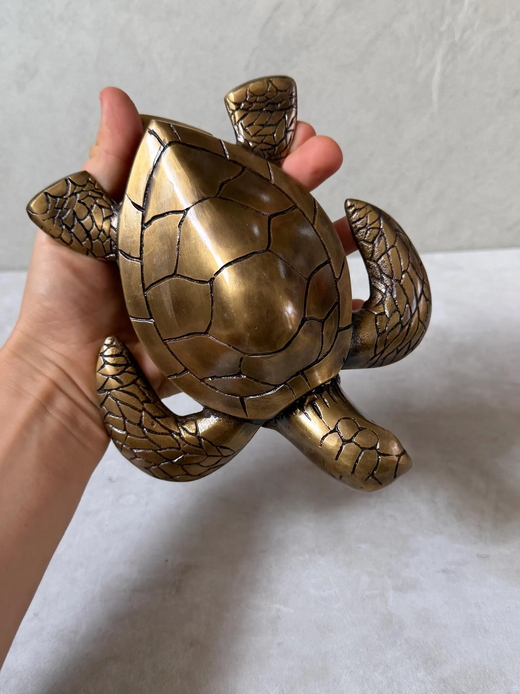 Brass Turtle Door Knocker