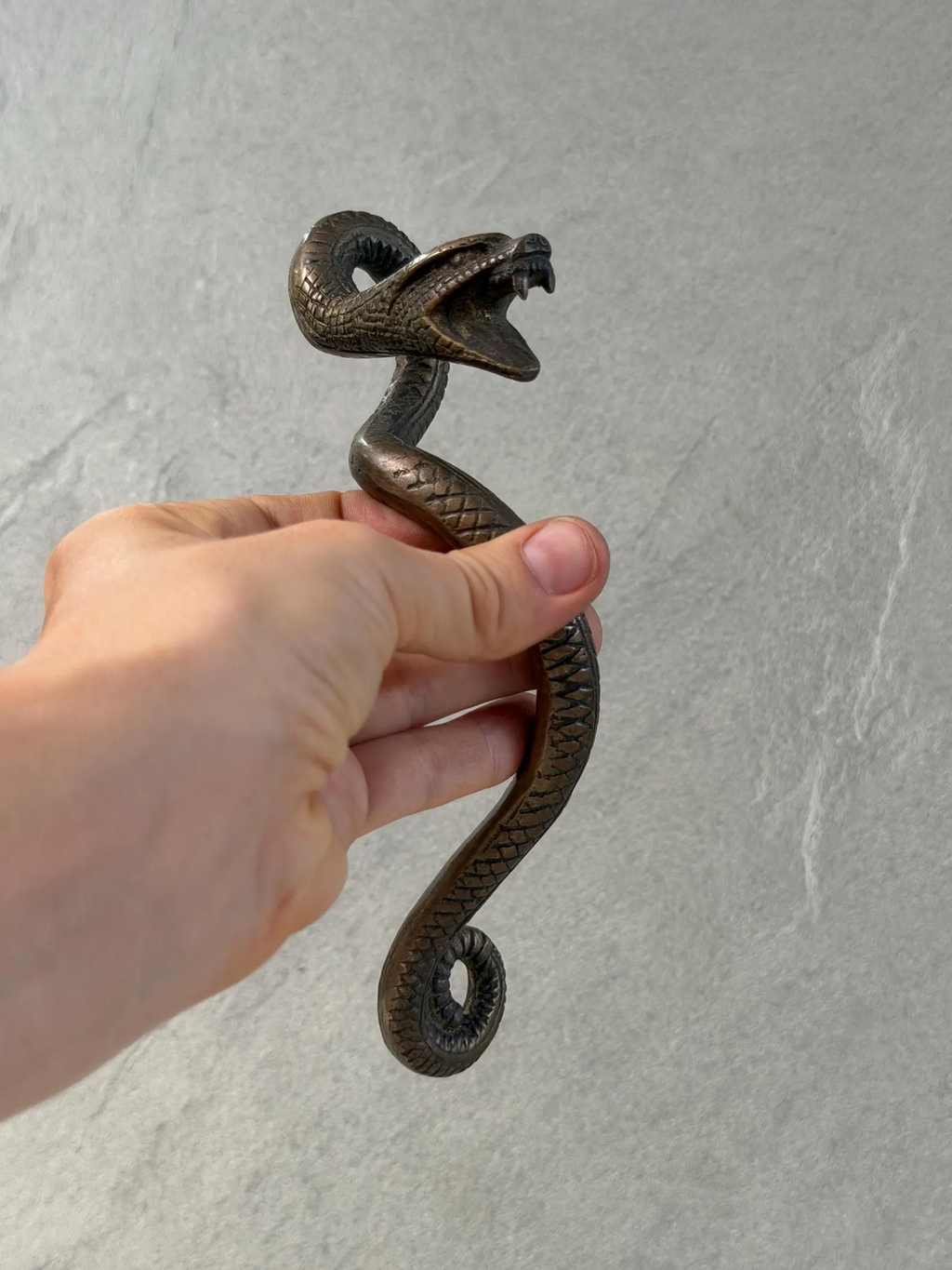 Brass Snake Door Handle