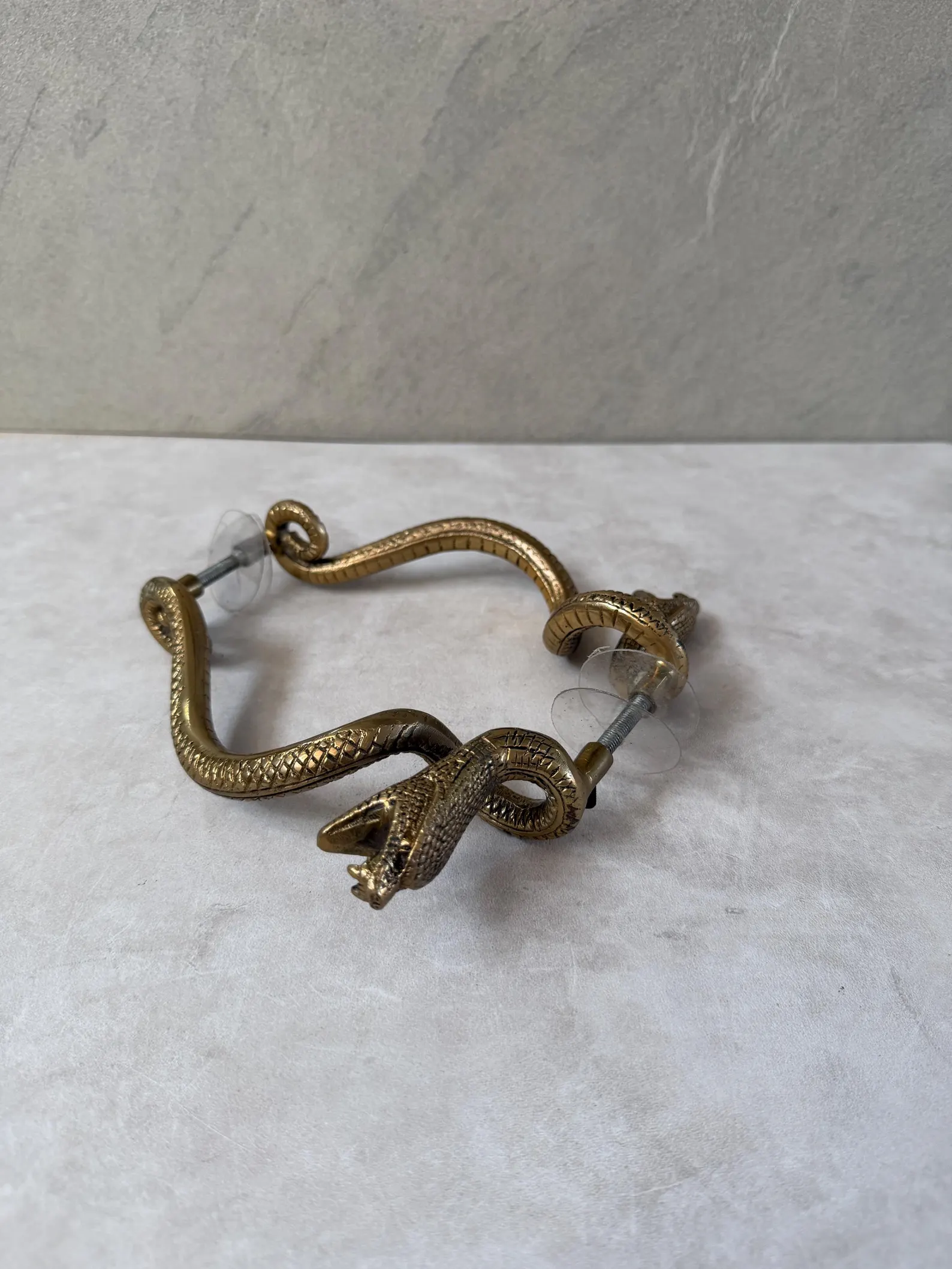 Brass Snake Door Handle