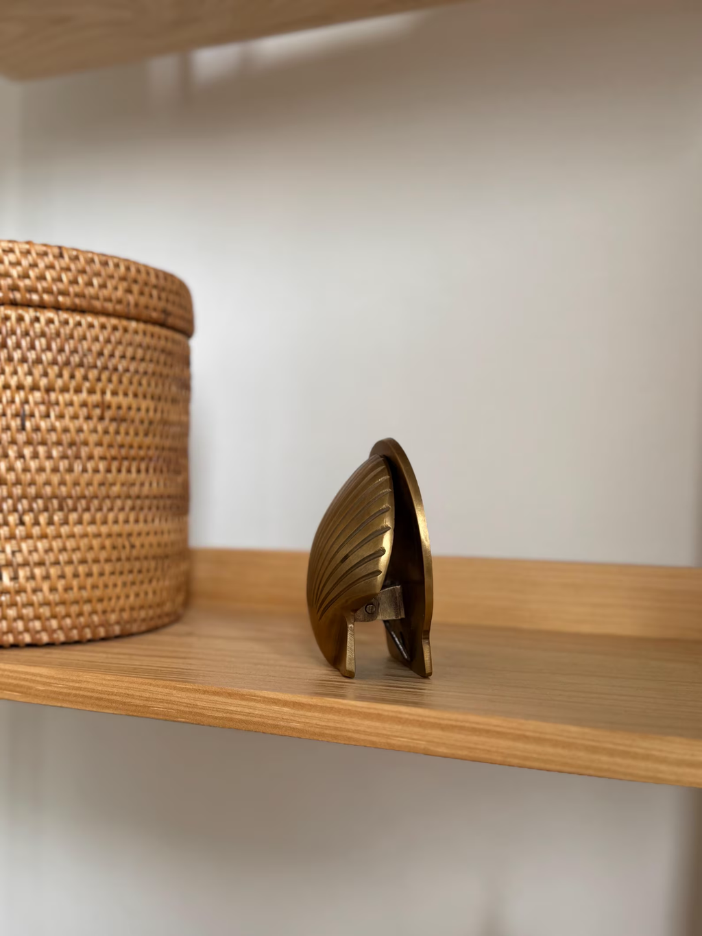 Side view of the brass shell clip standing on a wooden shelf