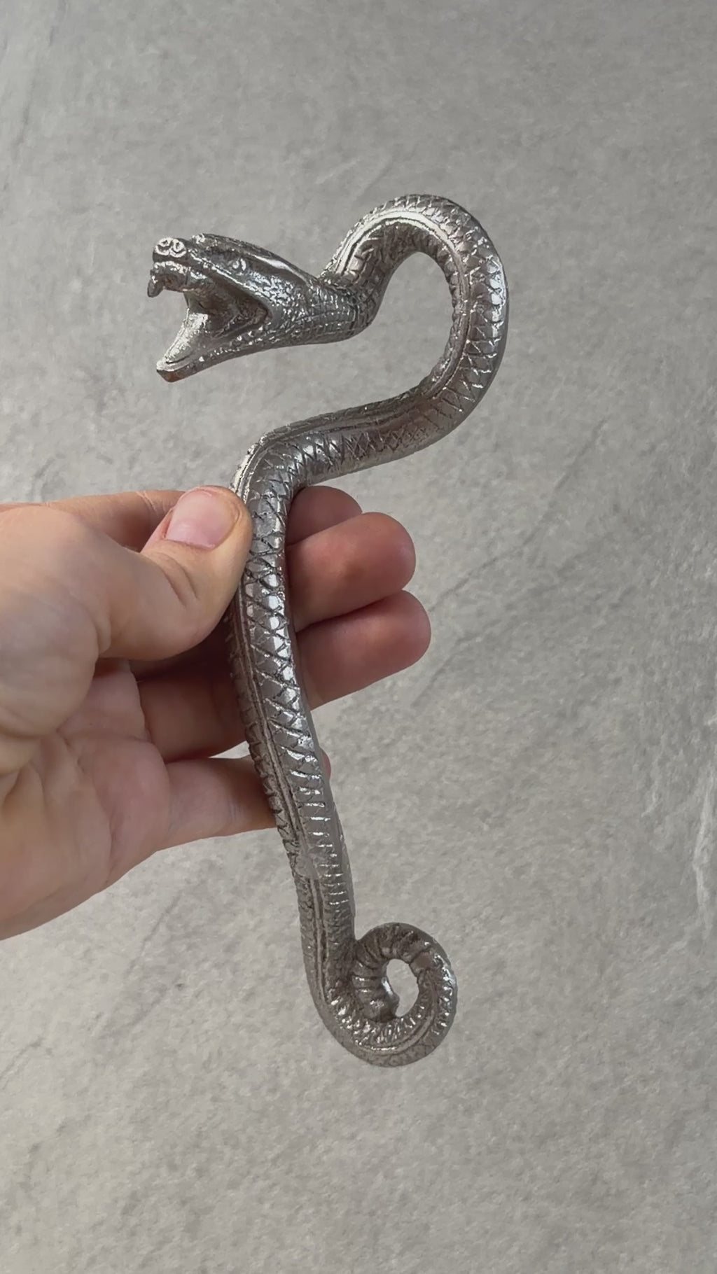 Brass Snake Door Handle