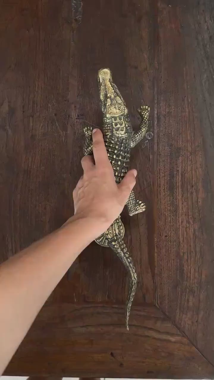 Brass Crocodile Door Handle & Latch Set