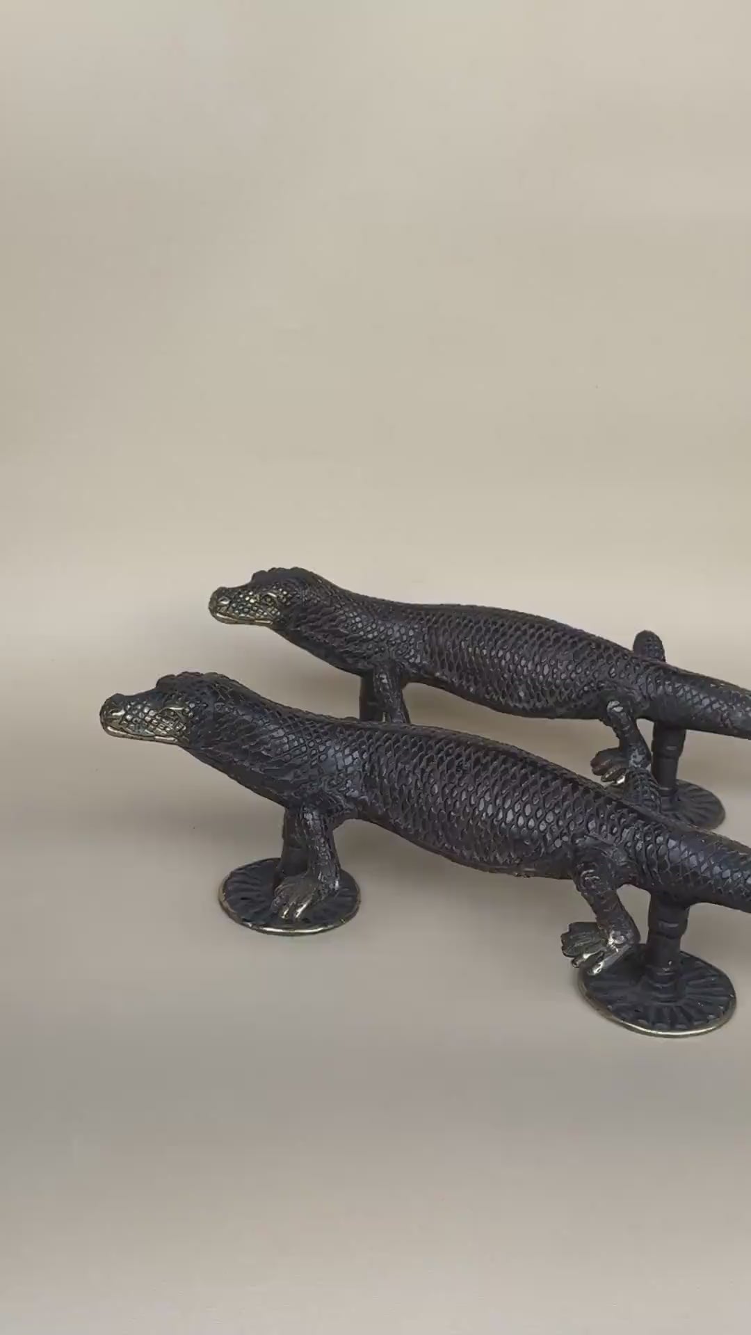 Vintage Brass Gecko Door Handle Set "Sahara"