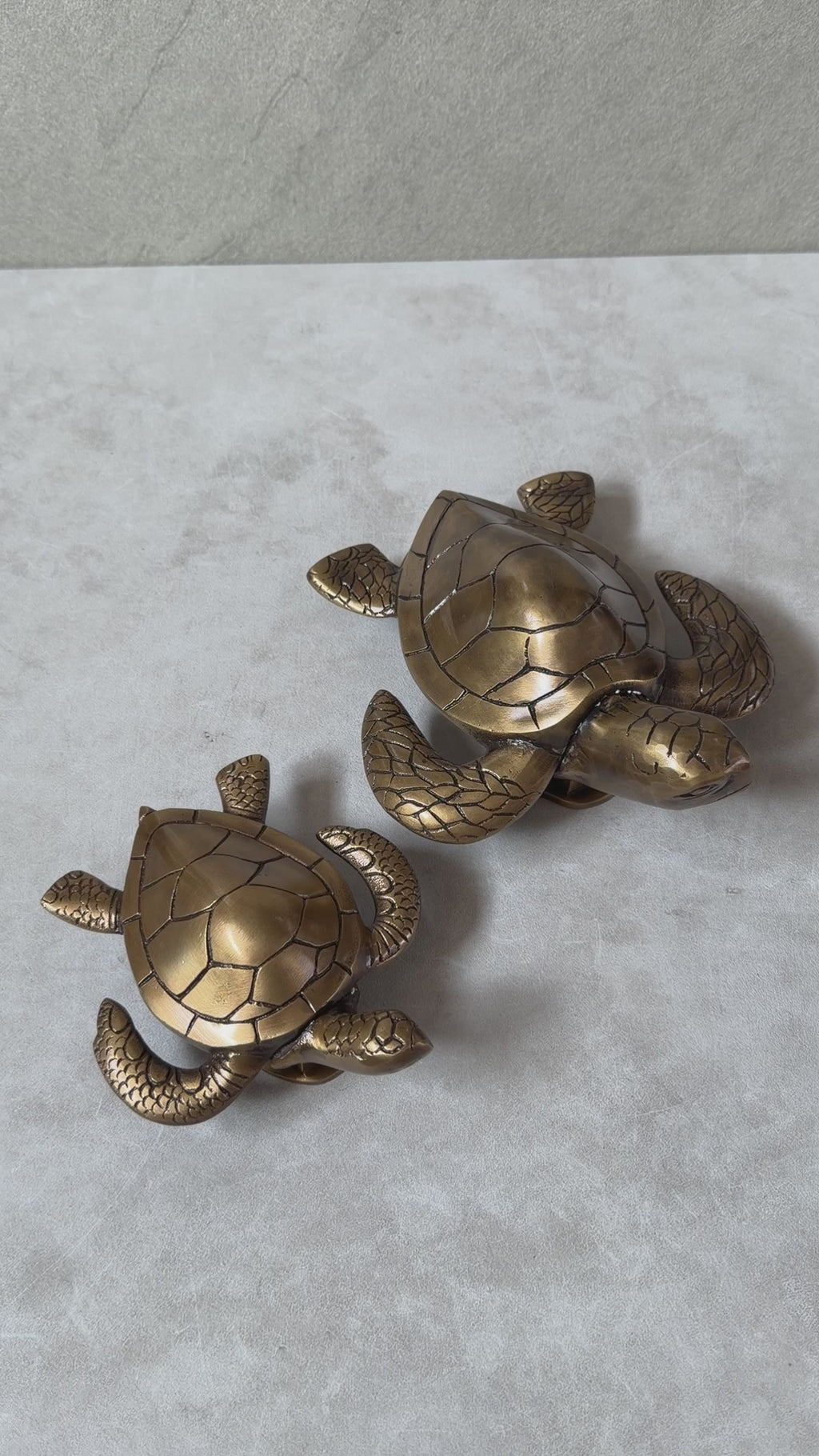 Brass Turtle Door Knocker