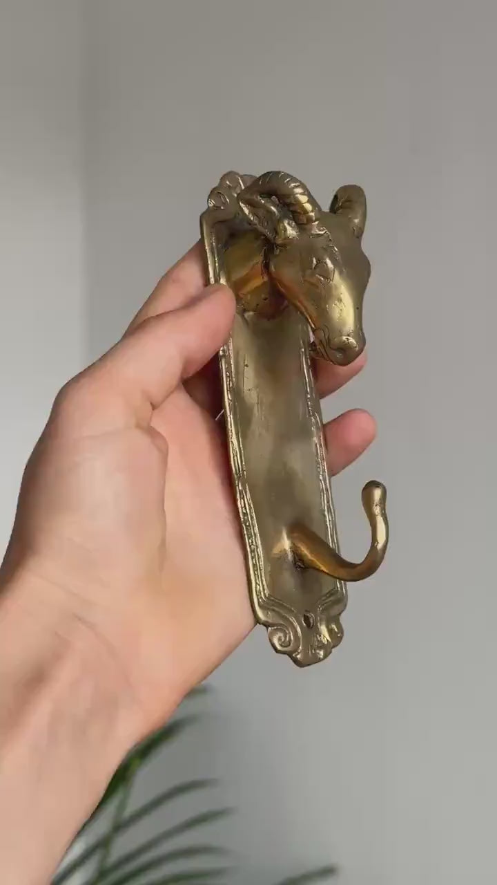 Bull Animal Wall Hook