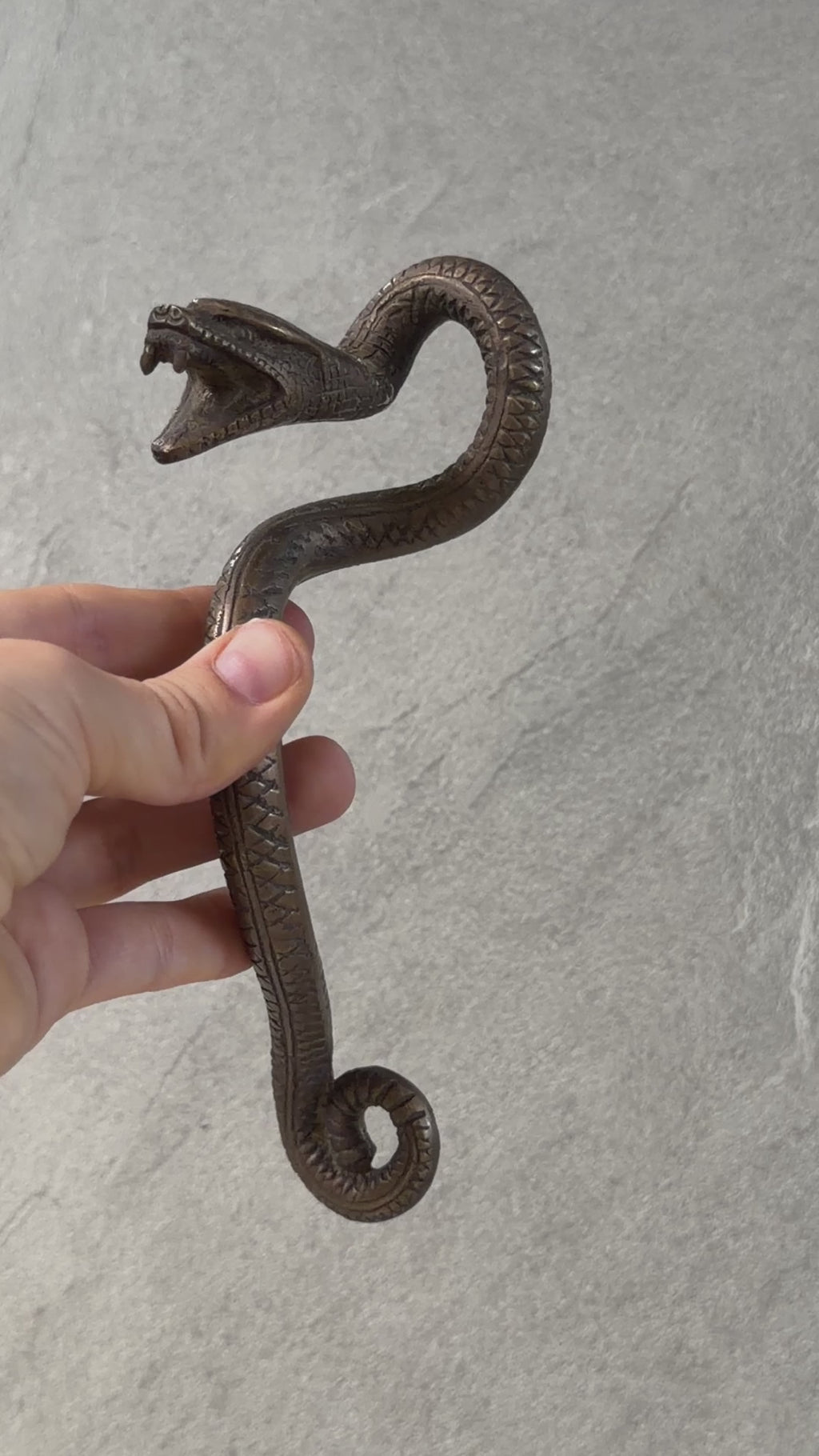 Brass Snake Door Handle