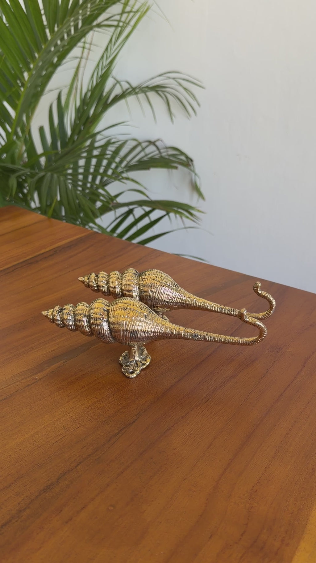Brass Seashell Wall Hook