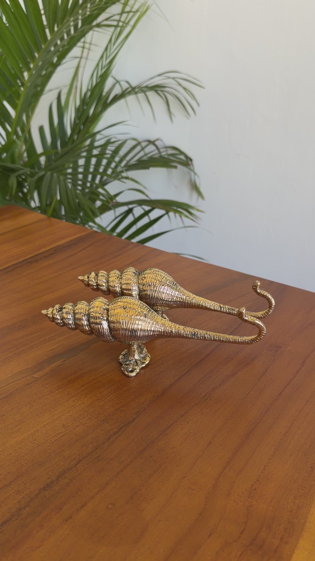 Brass Seashell Wall Hook